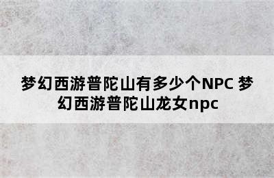 梦幻西游普陀山有多少个NPC 梦幻西游普陀山龙女npc